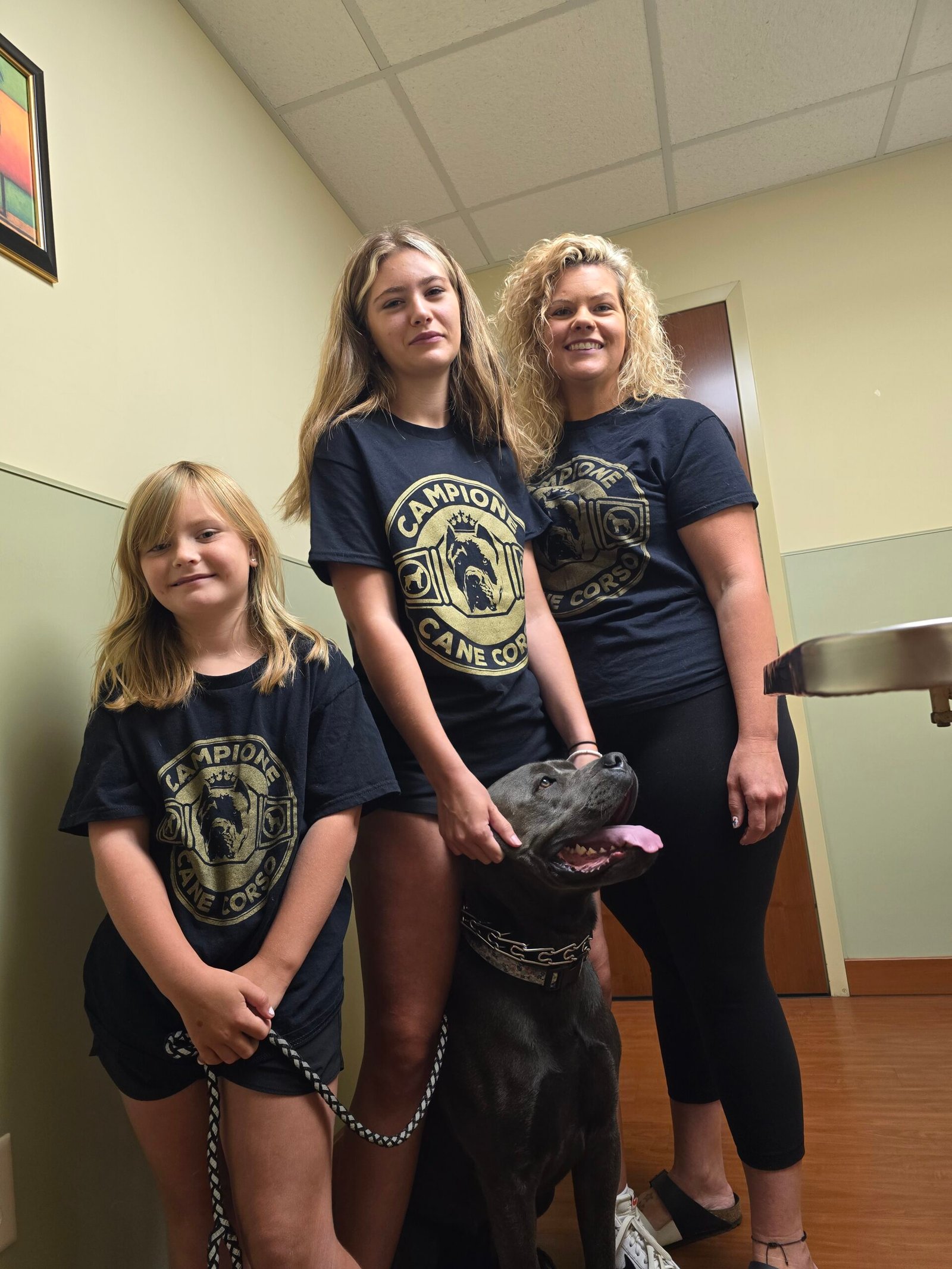 Adam, Linzy, Marlo, and Addie of Campione Cane Corso with Laila